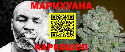apvp Кингисепп