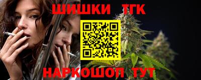 apvp Кингисепп