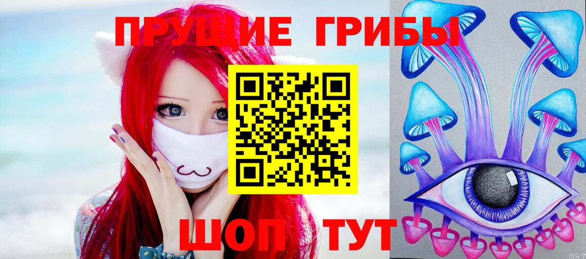 Галлюциногенные грибы Psilocybe  Галлюциногенные грибы прущие грибы  Вход с VPN  Ликино-Дулёво 